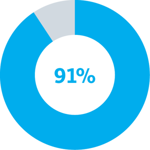 91%-piechart