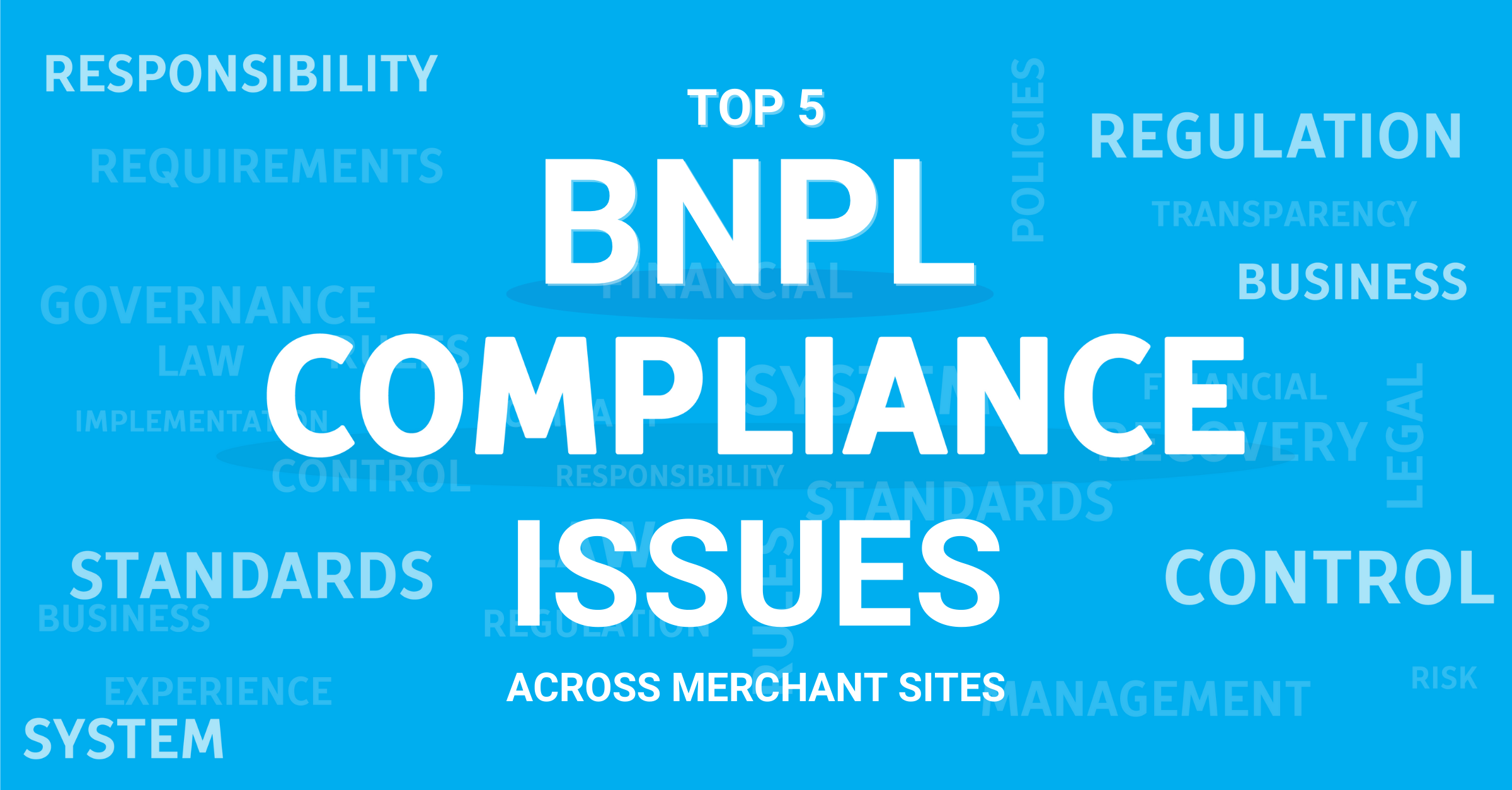 TOP 5 BNPL Compliance Issues